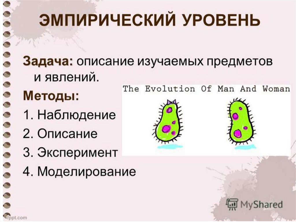 Изучите описание. Научное познание план. Наблюдение 2)описание 3)эксперимент 4)объяснение.