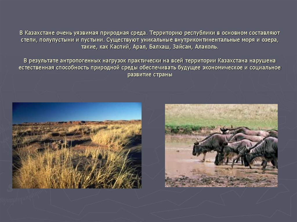 В Казахстане очень уязвимая природная среда. Территорию республики в основном составляют степи, полупустыни и пустыни.