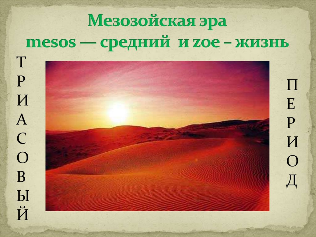 Мезозойская эра mesos — средний и zoe – жизнь