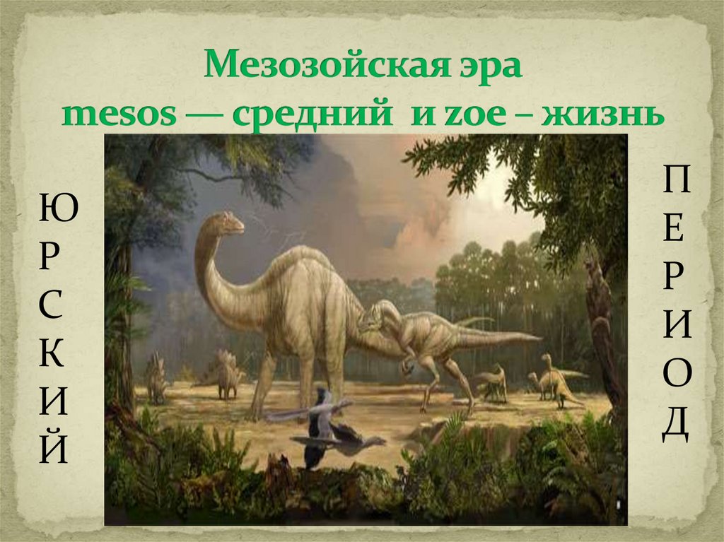 Мезозойская эра mesos — средний и zoe – жизнь