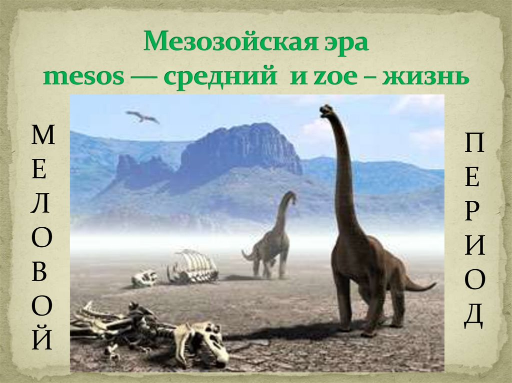 Мезозойская эра mesos — средний и zoe – жизнь