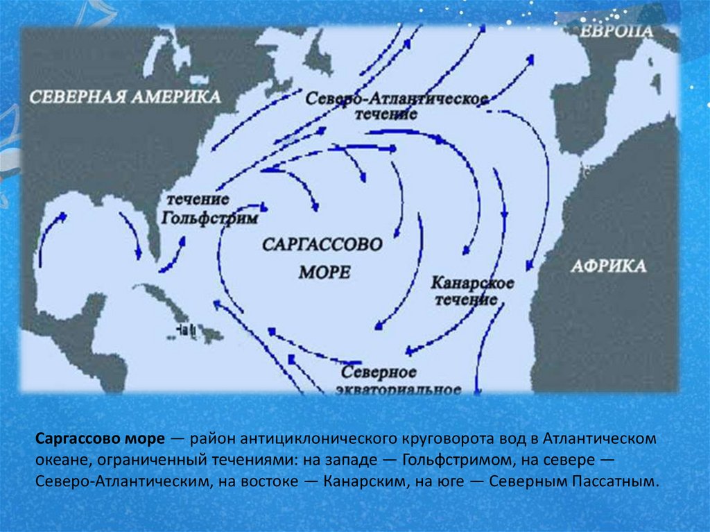 Течения в морях и океанах. Саргассово море на карте Атлантического океана. Северо атлантическое течение на карте океанов. Карта морей Саргассово море. Саргассово море расположение на карте.