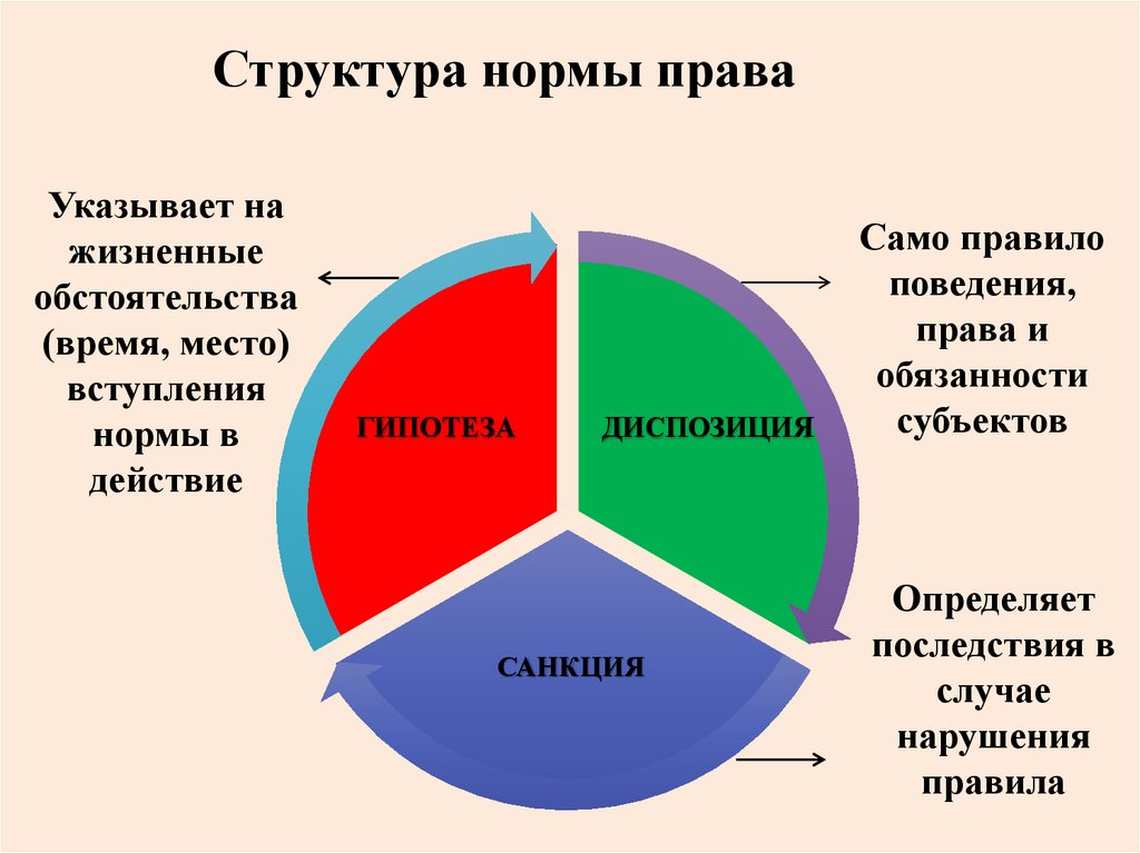 Структура социальных норм. Структура нормы. Структура нормы права. Структура нормы состоит из следующих частей. Структура нормы экологического права.