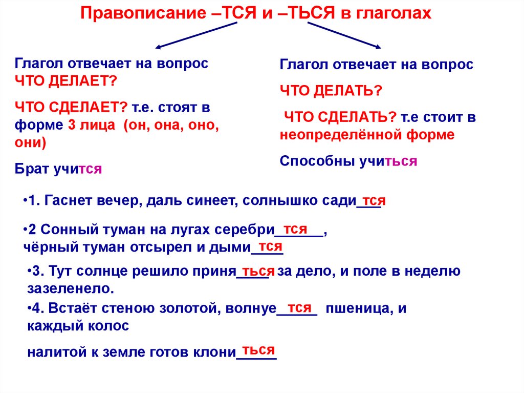 Оттепель множественное число. Имя глагол как часть речи. Сосна как глагол.