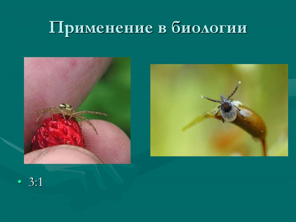 Применение в биологии