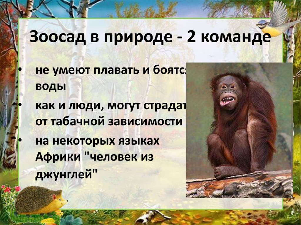 Зоосад в природе - 2 команде