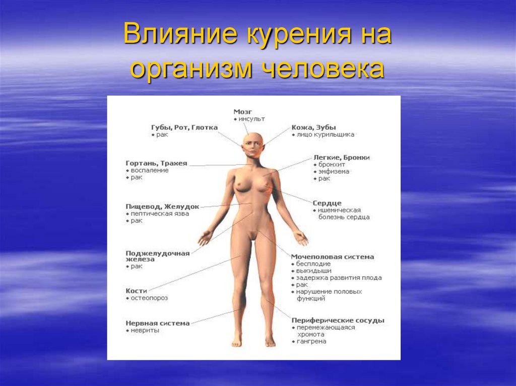 Презентация на тему влияние курения на организм молодого человека