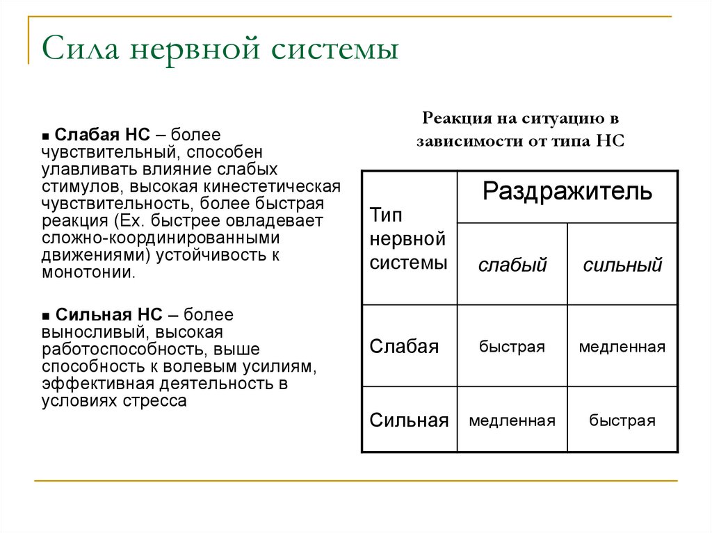 Сила нервов это. Сила нервной системы. рассчитать коэффициент силы нервной системы.
