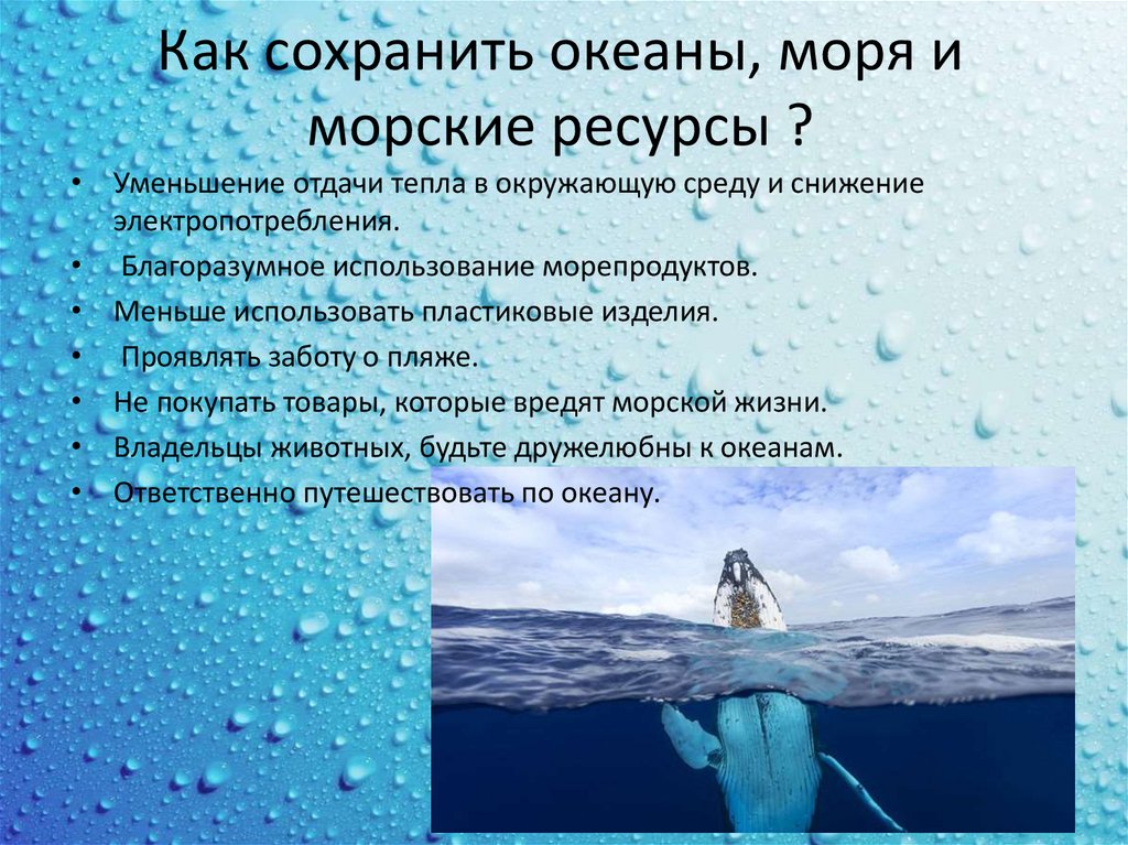 Морская экосистема презентация