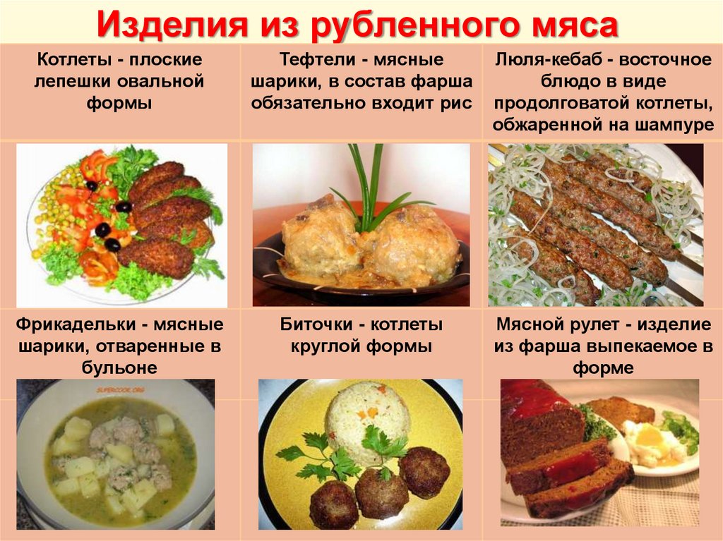 Типы блюд. Изделия из рубленого мяса. Технология приготовления блюд из рубленного мяса. Блюда из рубленной массы мяса. Название блюда из рубленного мяса.