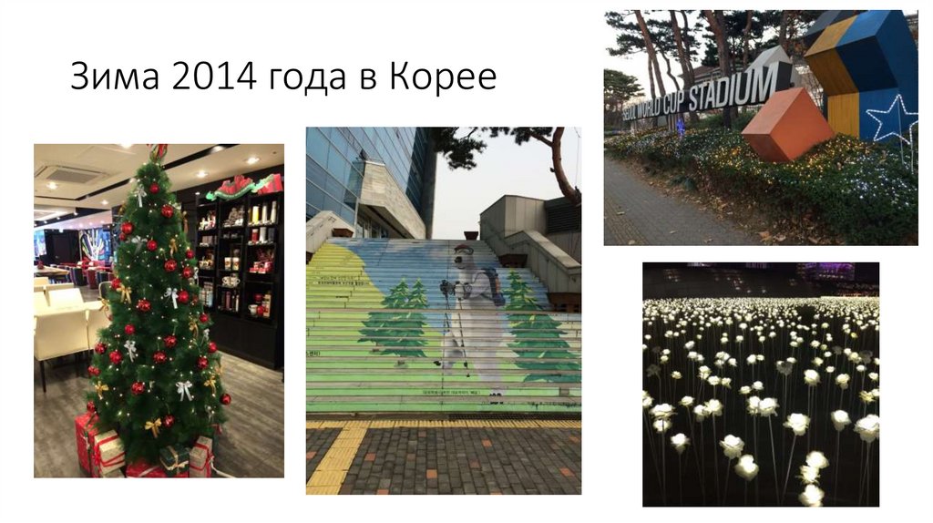 Зима 2014 года в Корее