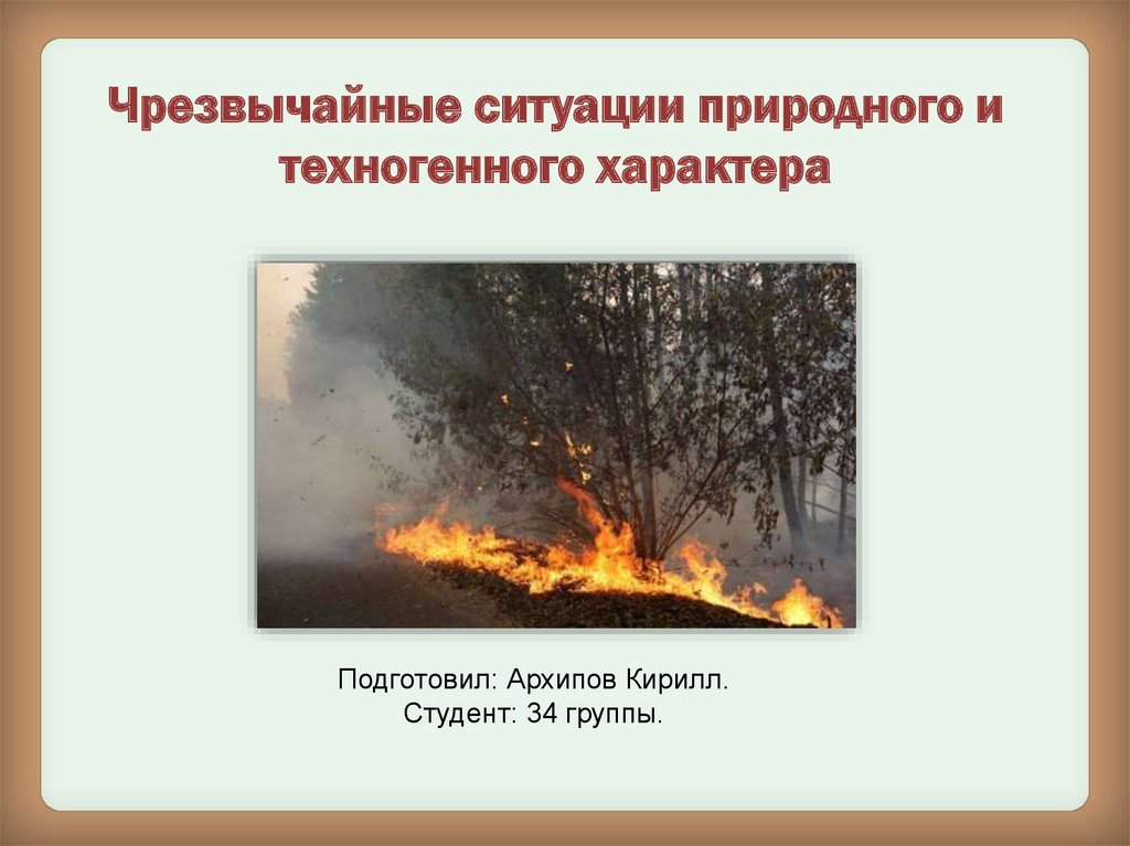 Пожар природного и техногенного характера
