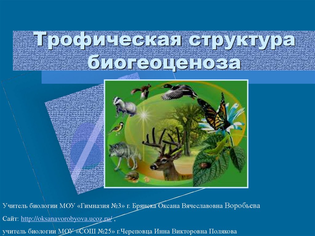 Из чего складывается трофическая структура сообщества. Трофическая структура биогеоценоза это. Трофическая структура экосистемы. Трофическая структура экосистемы презентация. Трофические пример.