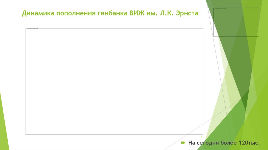 Динамика пополнения генбанка ВИЖ им. Л.К. Эрнста