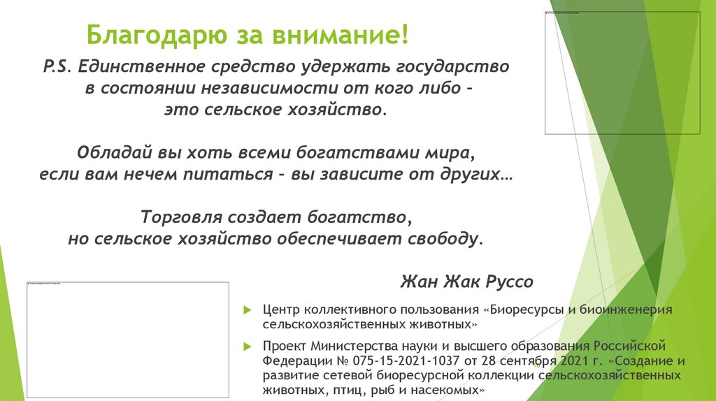 Благодарю за внимание!