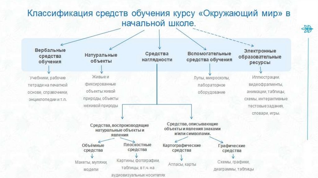 Наука как способ изучения окружающего мира план