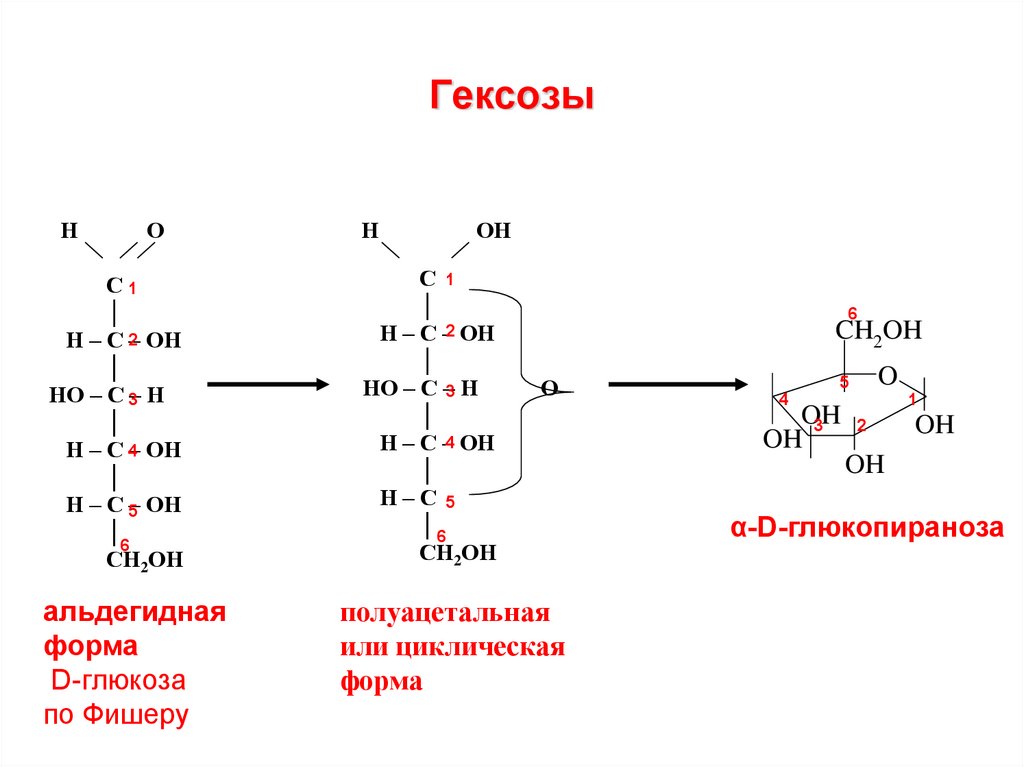 Наличие в глюкозе альдегидной группы. С6 гексозы. Глюкоза гексоза. Глюкоза гексоза альдоза. Гексозы циклические формулы.