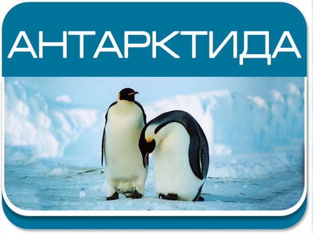 Природа - презентация онлайн