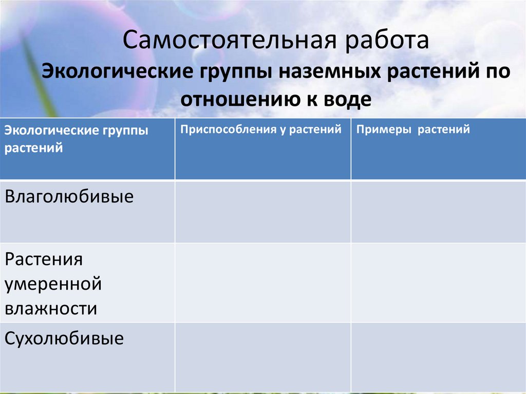 Группы растений по отношению. Экологические группы растений таблица. Экологические группы растений по отношению к воде таблица. Экологические группы наземных растений. Экологические группы растений влаголюбивые.