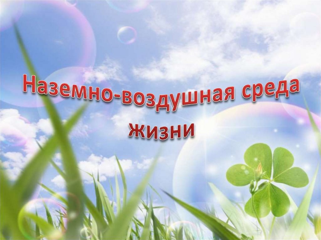 Наземно-воздушная среда жизни