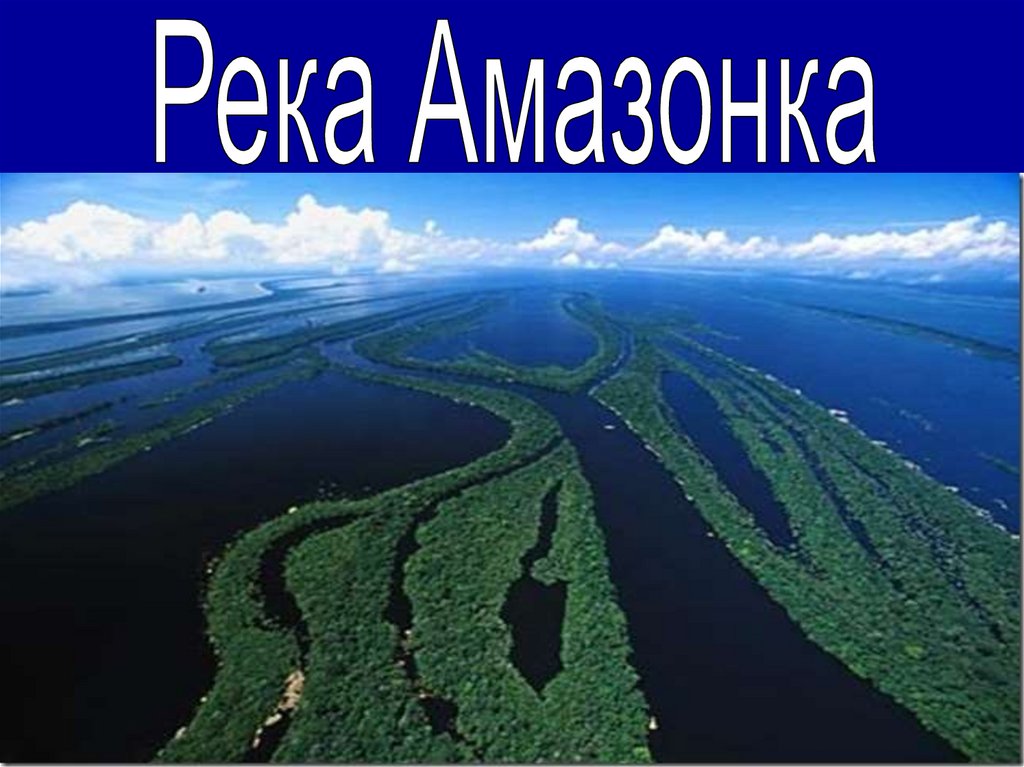 Амазонка река проект