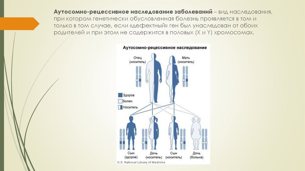 Рецессивное наследование это. Аутосомно рецессивное наследование. Закономерности аутосомно-рецессивного типа наследования. Муковисцидоз наследование. Тип наследования муковисцидоза.