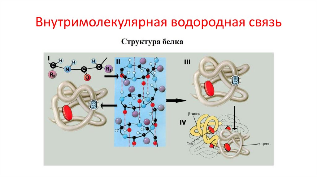Внутримолекулярная водородная связь