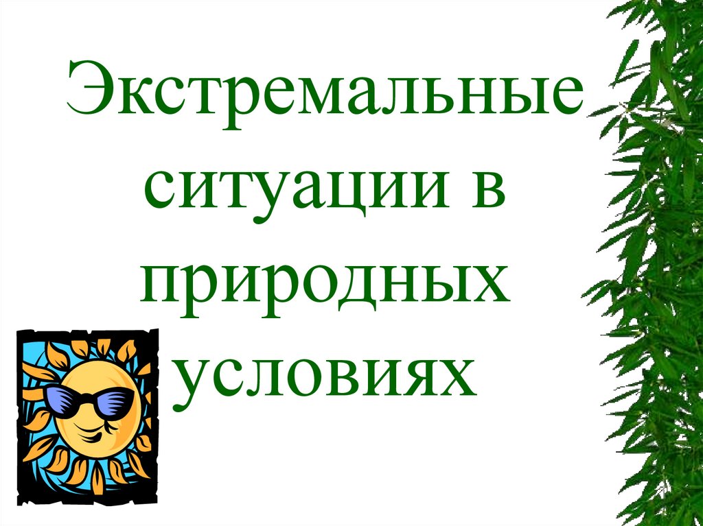 Презентация на тему поведение в экстремальной ситуации в природных условиях