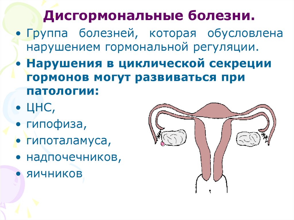 Женские половые органы лекция
