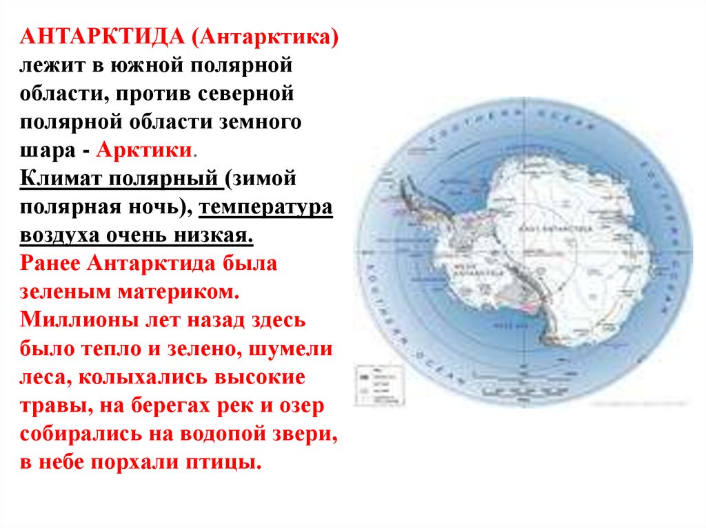АНТАРКТИДА (Антарктика) лежит в южной полярной области, против северной полярной области земного шара - Арктики. Климат
