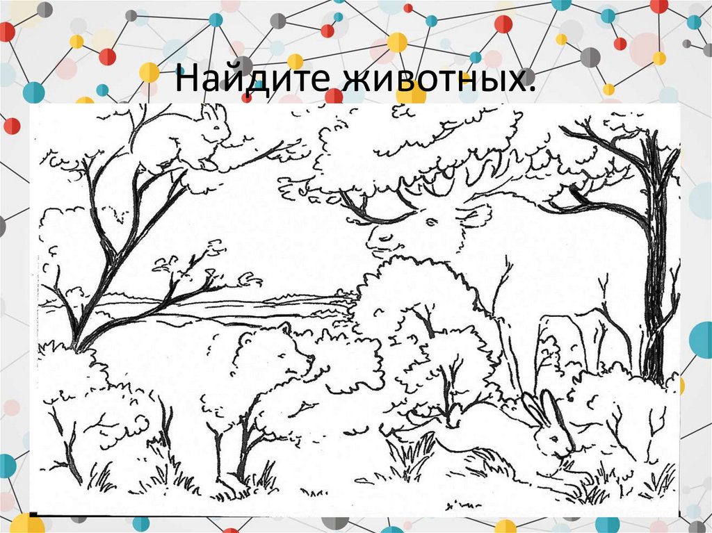 Найдите животных.
