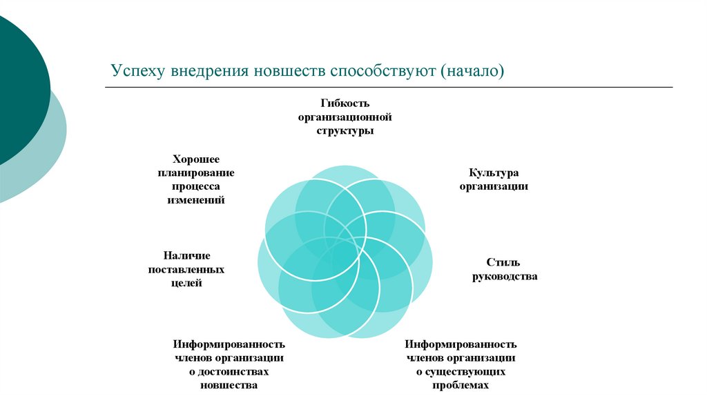 Организационные рамки проекта