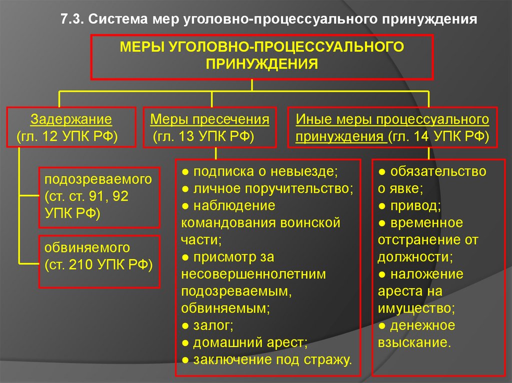 Меры уголовно процессуального принуждения