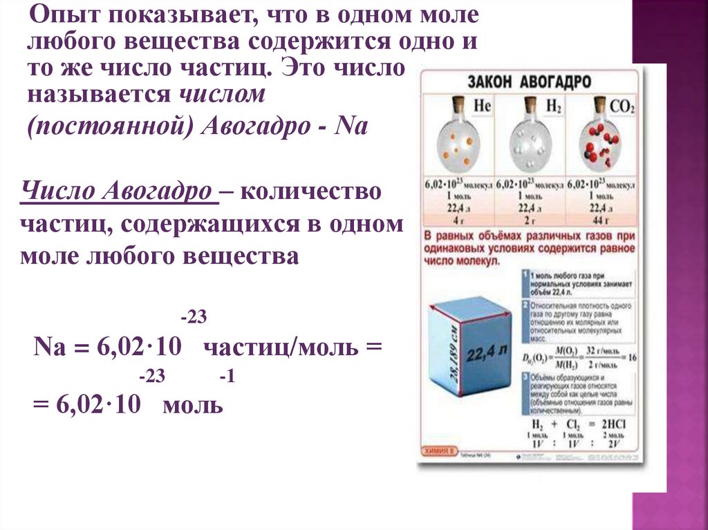 Число авогадро в граммах. Амедео Авогадро портрет. Амедео Авогадро.