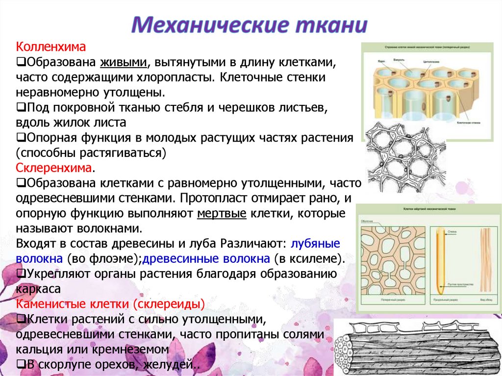 Какая ткань должна быть