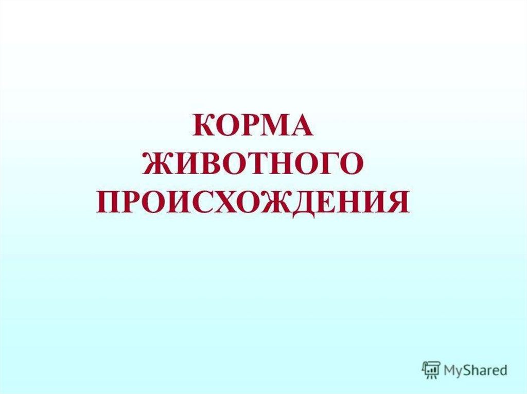 Презентация корма для животных