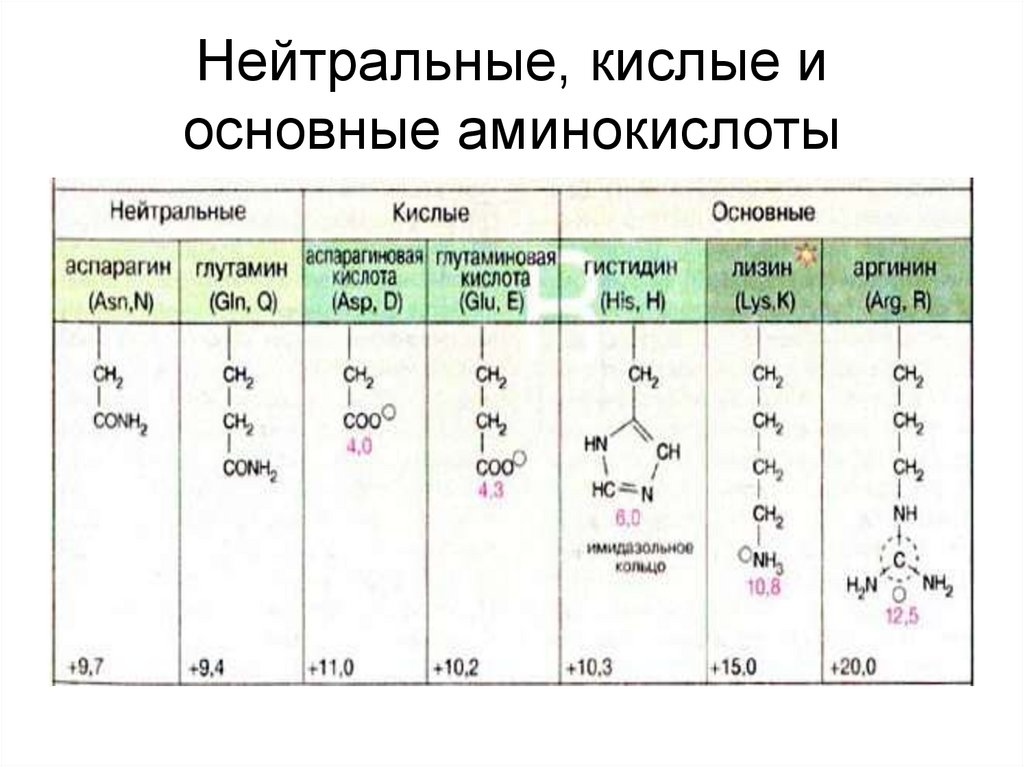 Презентация по теме аминокислоты