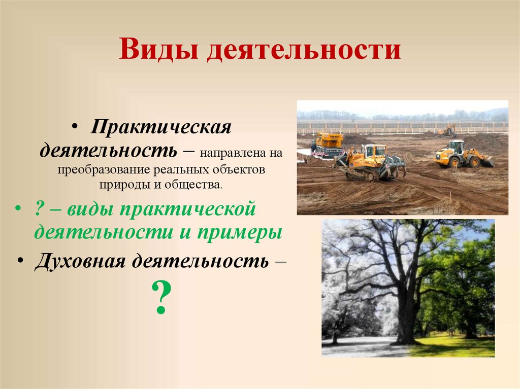 Виды деятельности