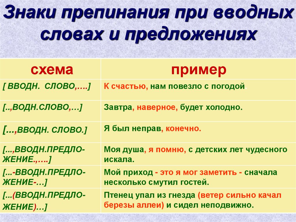 Написать 5 предложений с вводными словами