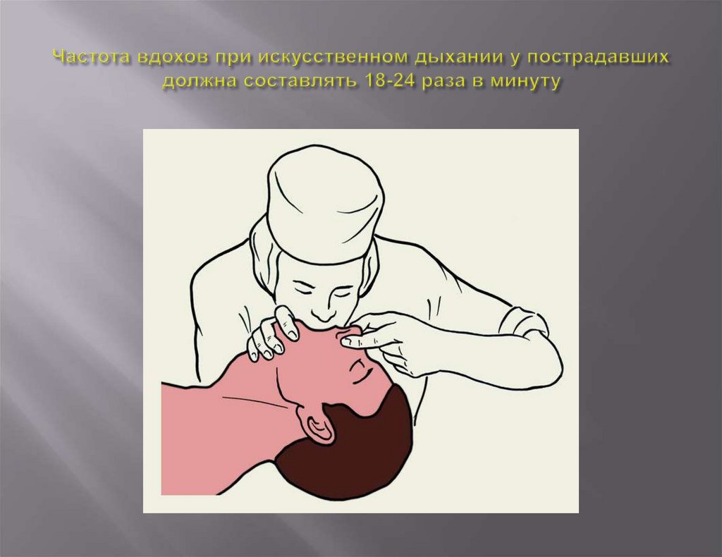 Частота вдохов при искусственном дыхании у пострадавших должна составлять 18-24 раза в минуту