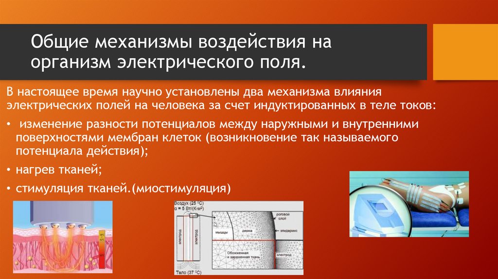 Механизм нагрузки. Общие механизмы воздействия электрического поля на организм. Постоянное электрическое поле высокого напряжения. Франклинизация в физиотерапии что это. Франклинизация показания противопоказания.