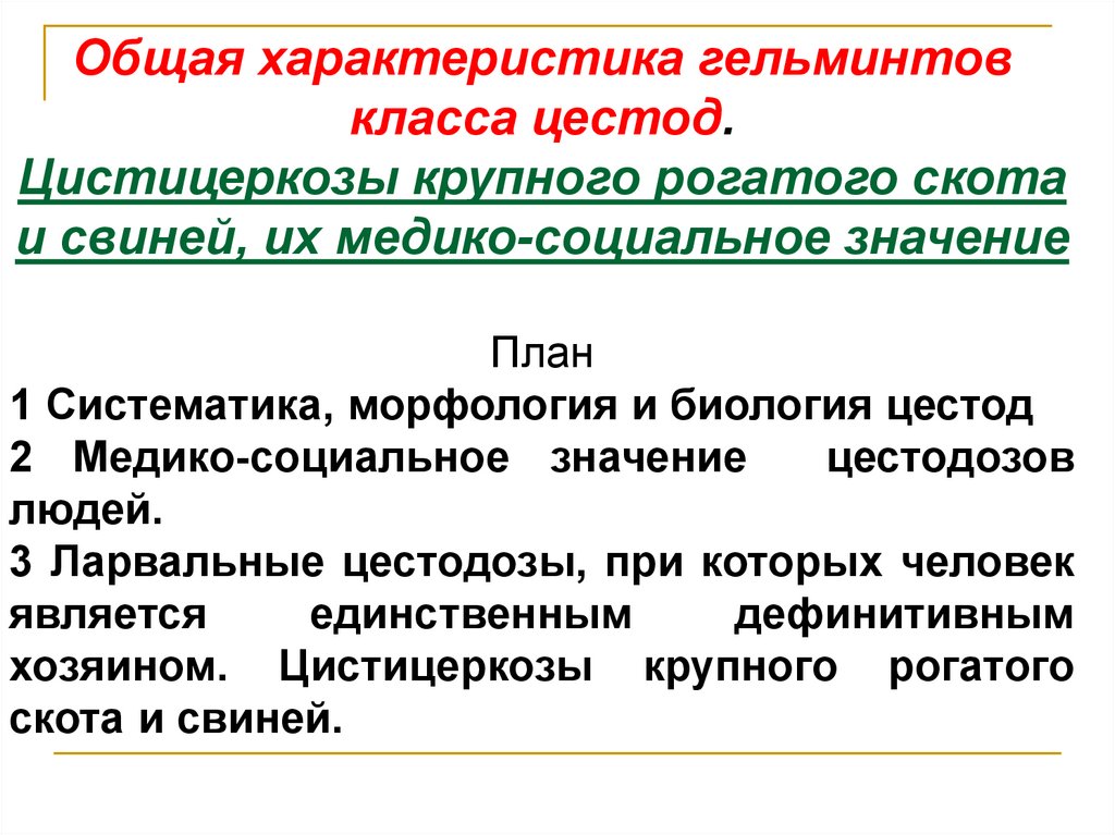 Общая характеристика цестод. Общая характеристика гельминтов. Cestoda общая характеристика. Характеристика класса цестоды.