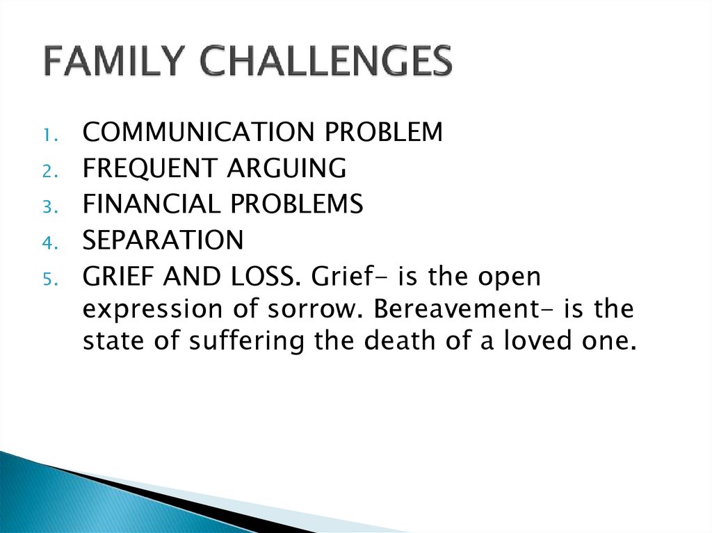 FAMILY CHALLENGES