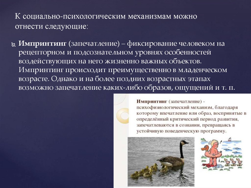 К социально-психологическим механизмам можно отнести следующие: