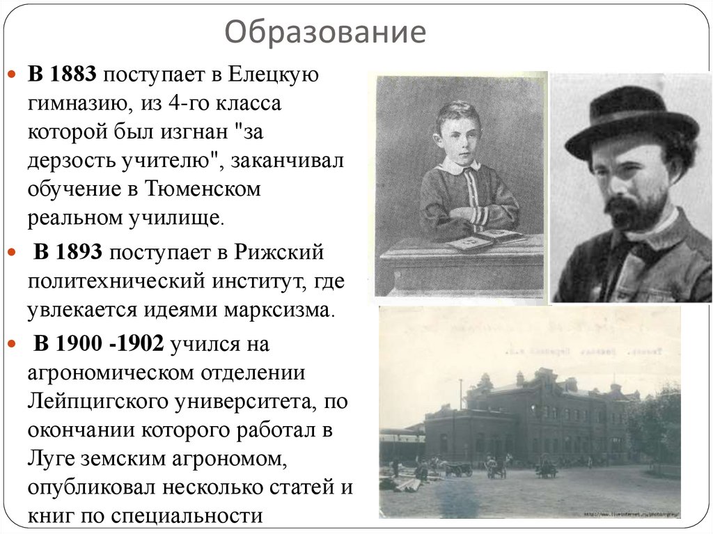 Образование