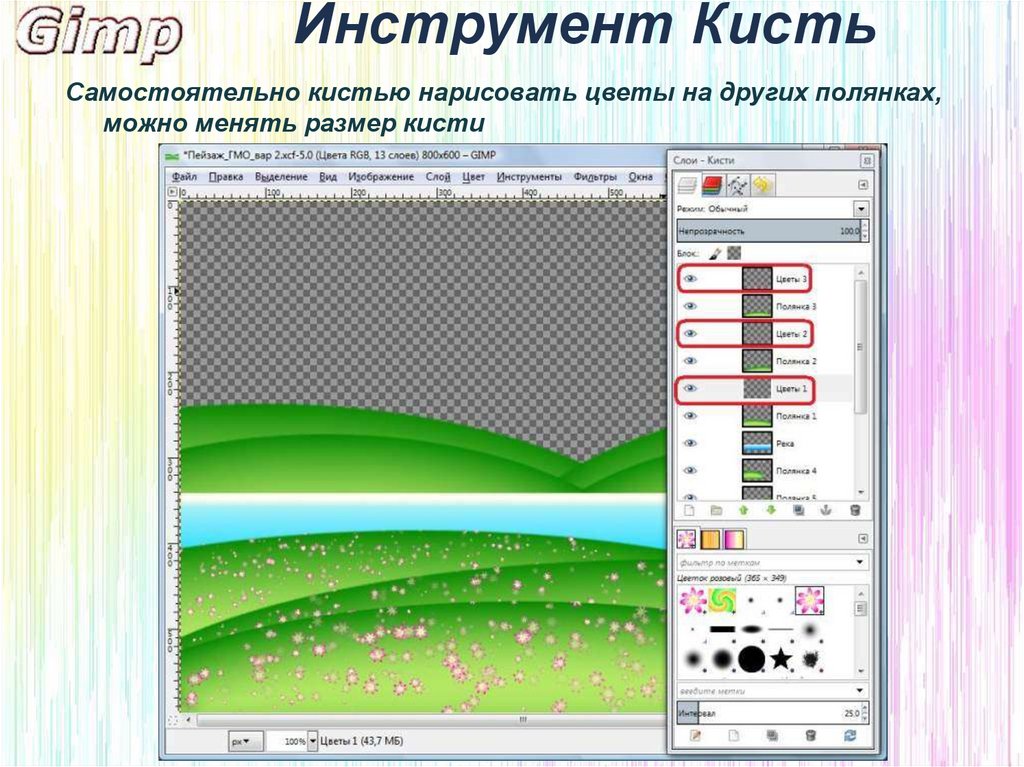 Что есть в растровом редакторе gimp но нет в растровом редакторе paint