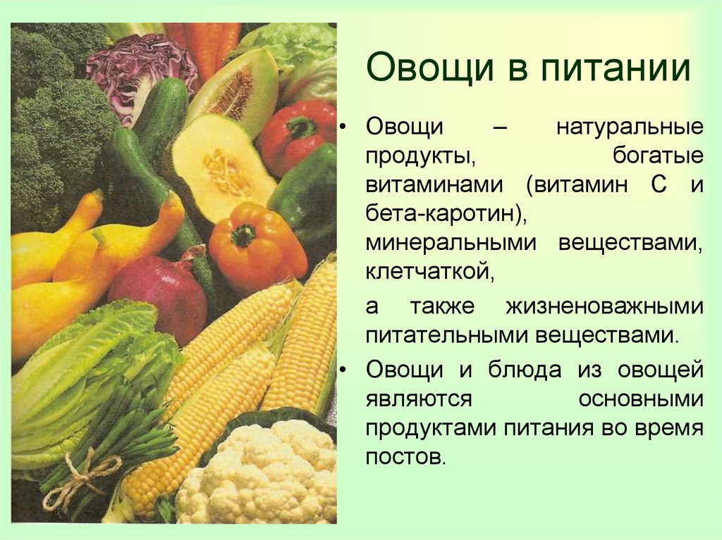 Овощи в питании