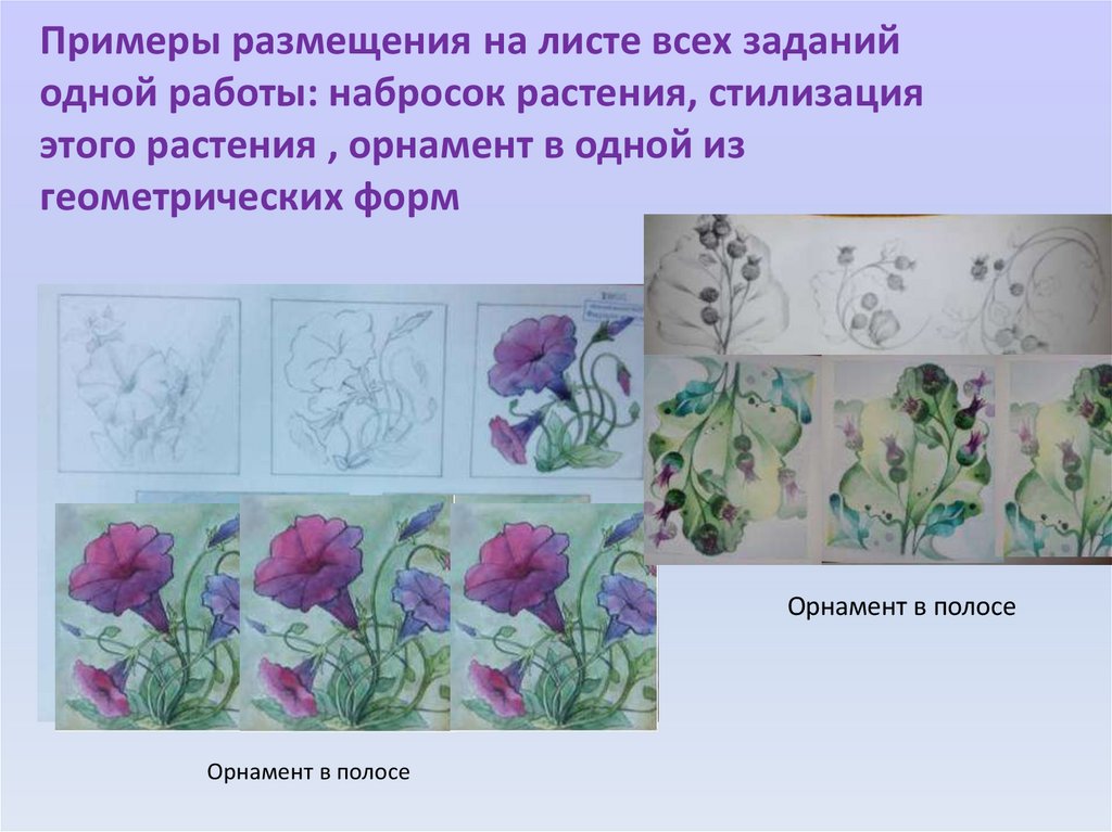 Примеры размещения на листе всех заданий одной работы: набросок растения, стилизация этого растения , орнамент в одной из