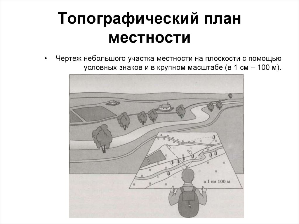 Подробное изображение на бумаге небольшого участка местности называется