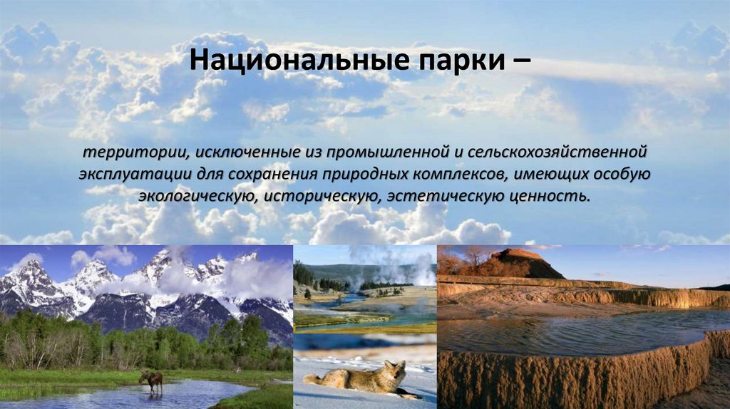 Окружающее особо. Сохранение природных комплексов. Большой природный комплекс обладающий. Азия особенности природных комплексов. Проблемы охраны природных комплексов морей.